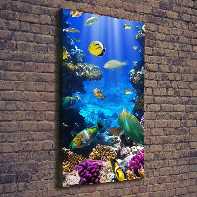 Canvas print Coral reef