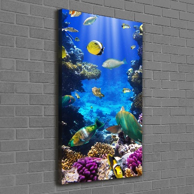 Canvas print Coral reef