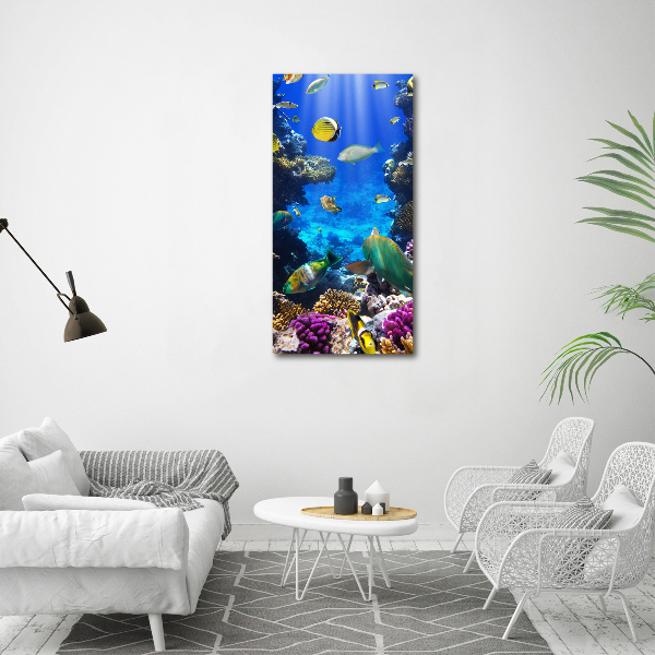 Canvas print Coral reef