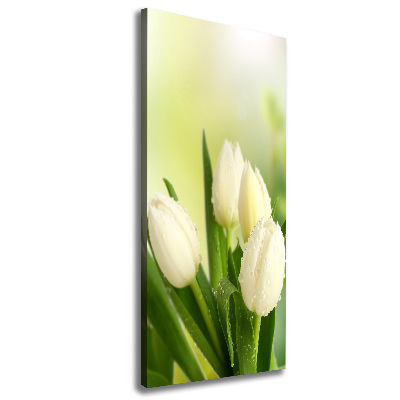 Large canvas wall art White tulips