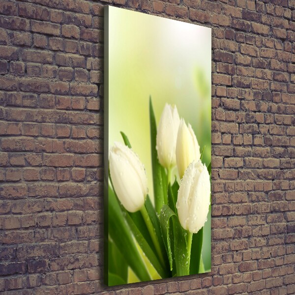 Large canvas wall art White tulips