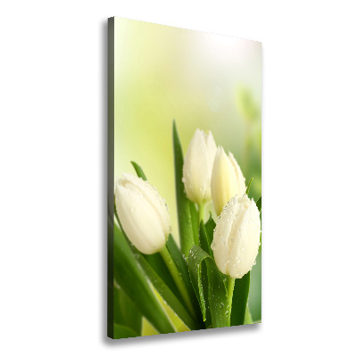 Large canvas wall art White tulips