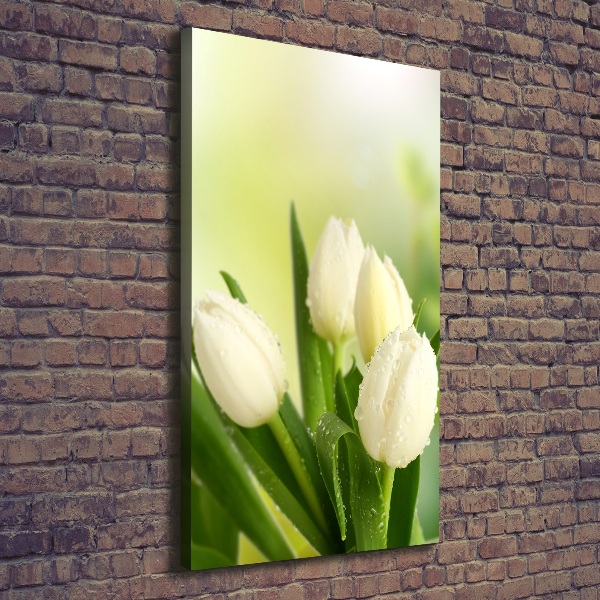 Large canvas wall art White tulips