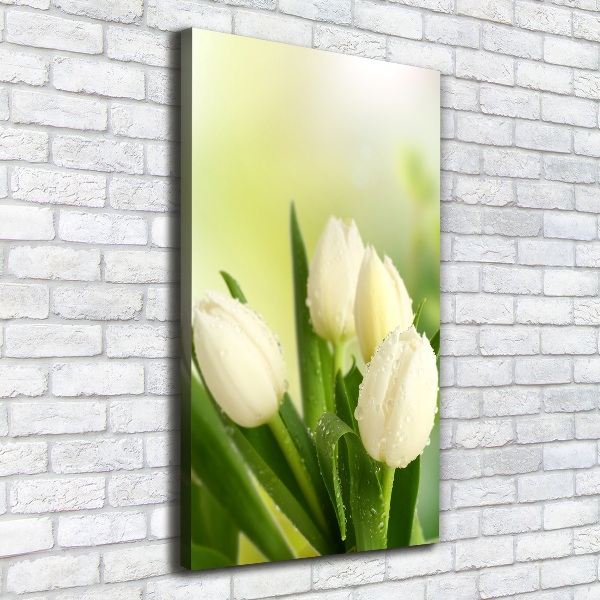 Large canvas wall art White tulips