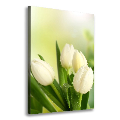 Large canvas wall art White tulips