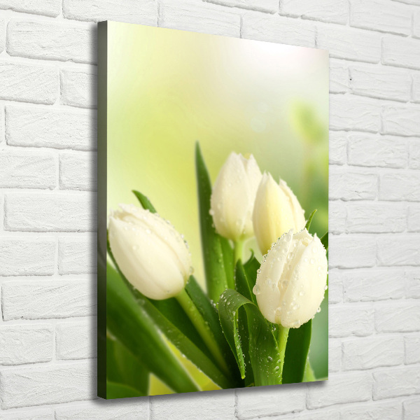 Large canvas wall art White tulips