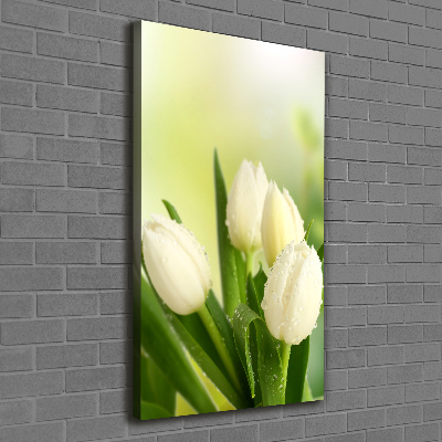 Large canvas wall art White tulips