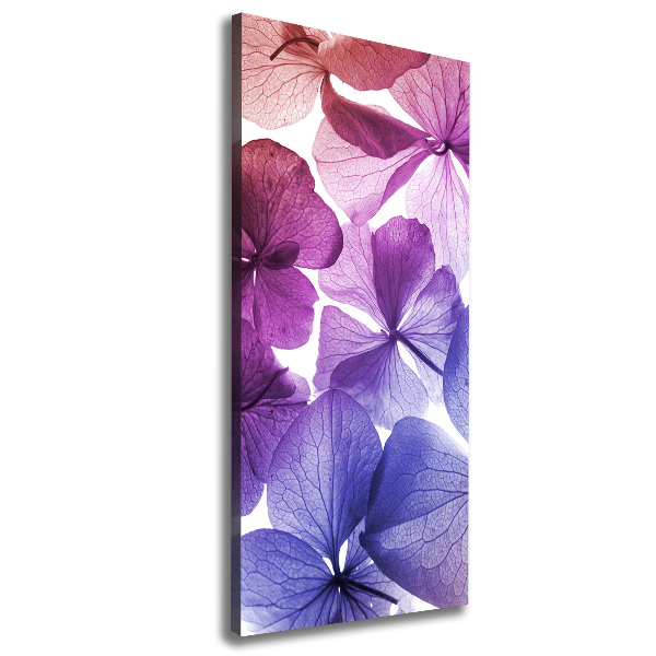 Canvas print Purple flowers