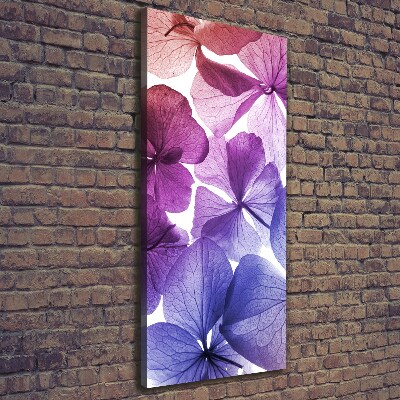 Canvas print Purple flowers