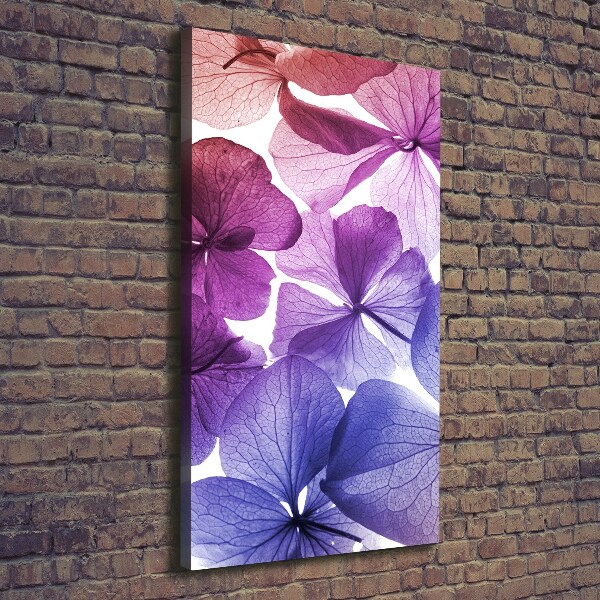 Canvas print Purple flowers