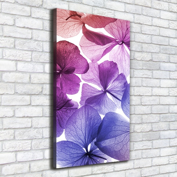 Canvas print Purple flowers