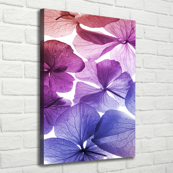 Canvas print Purple flowers