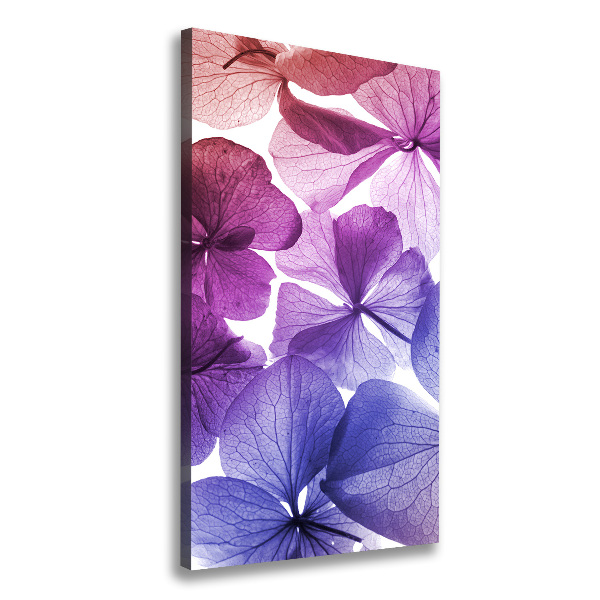 Canvas print Purple flowers