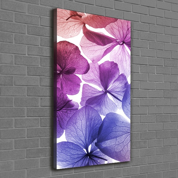 Canvas print Purple flowers