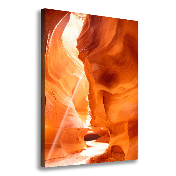 Canvas print Canyon