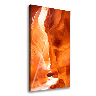 Canvas print Canyon