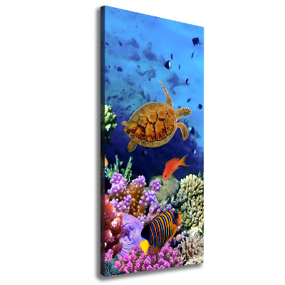 Canvas wall art Coral reef