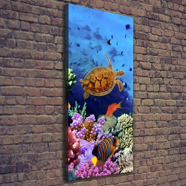 Canvas wall art Coral reef