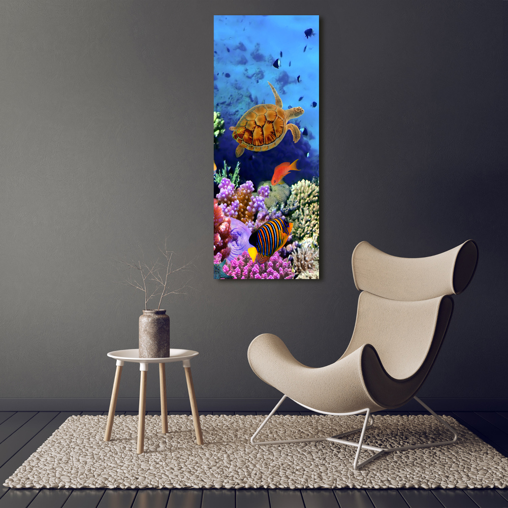 Canvas wall art Coral reef