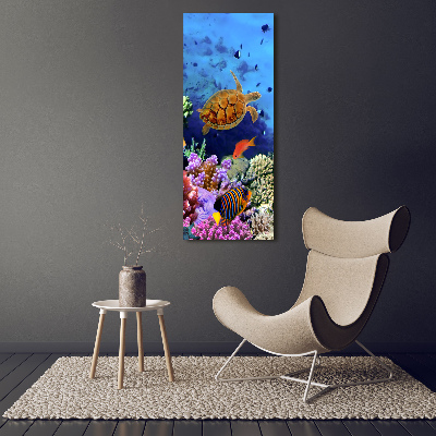 Canvas wall art Coral reef