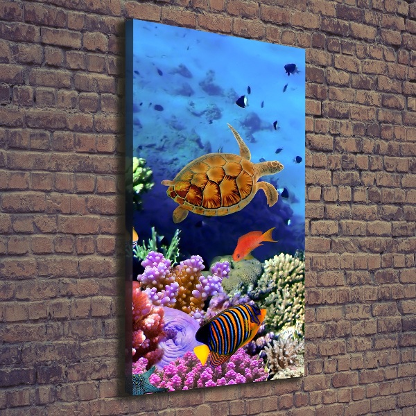 Canvas wall art Coral reef