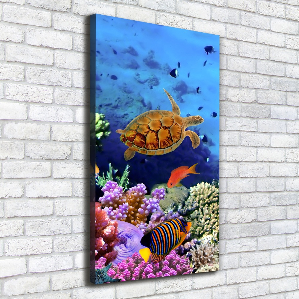 Canvas wall art Coral reef