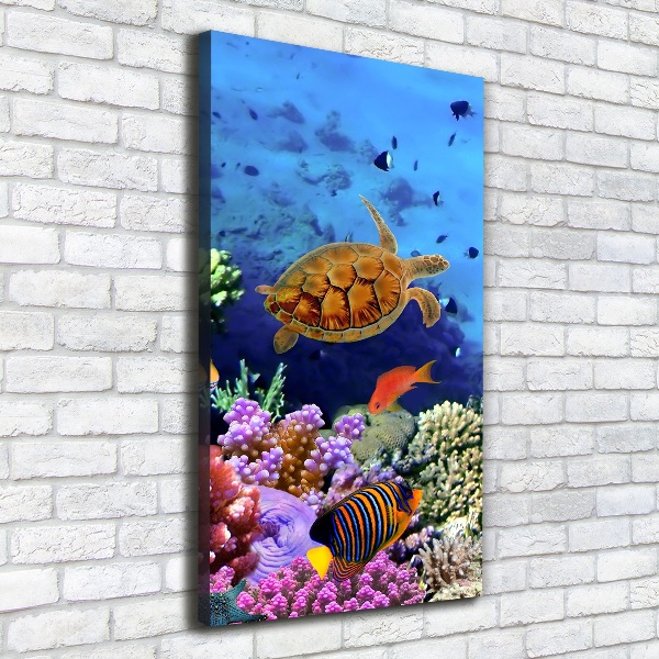 Canvas wall art Coral reef