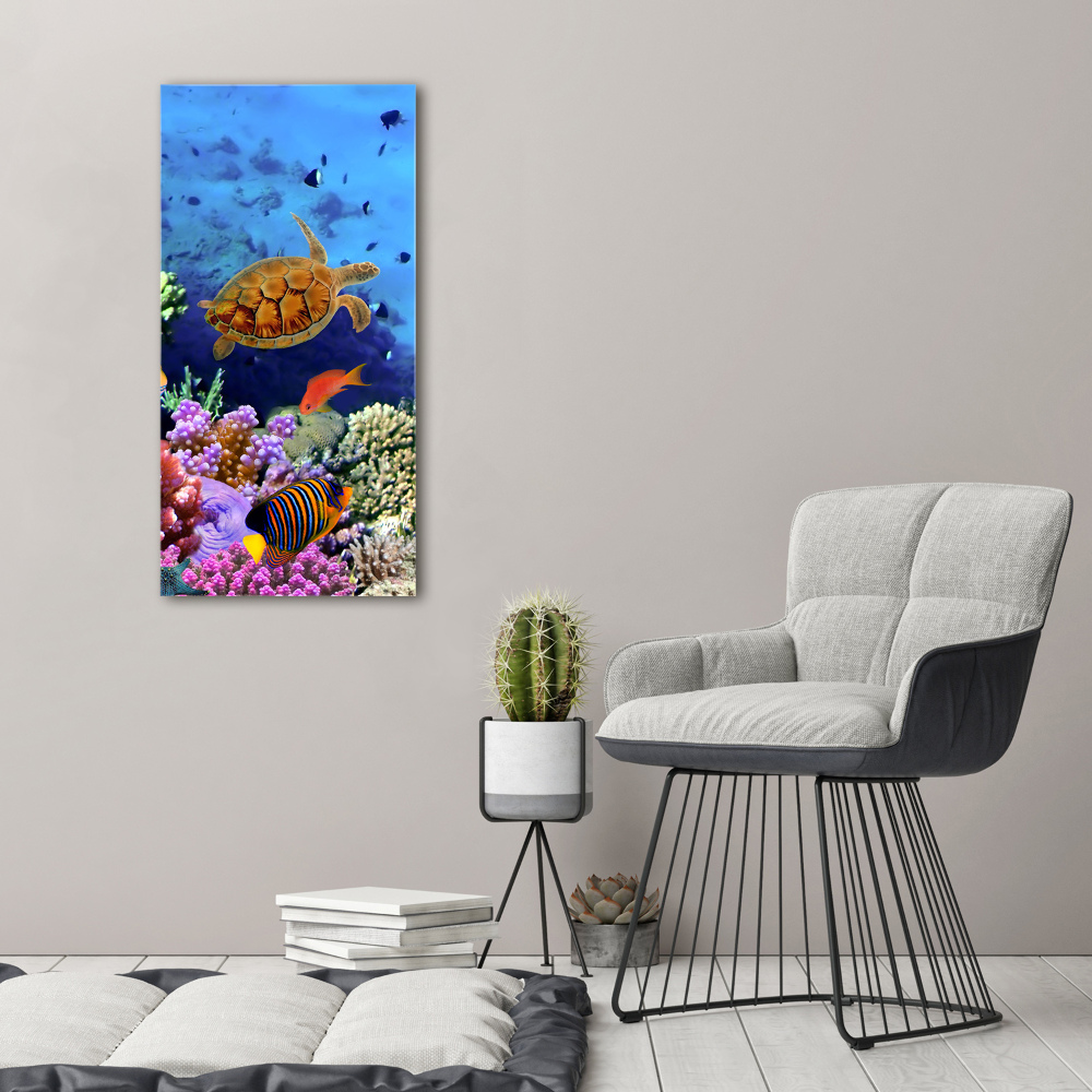 Canvas wall art Coral reef