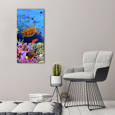 Canvas wall art Coral reef