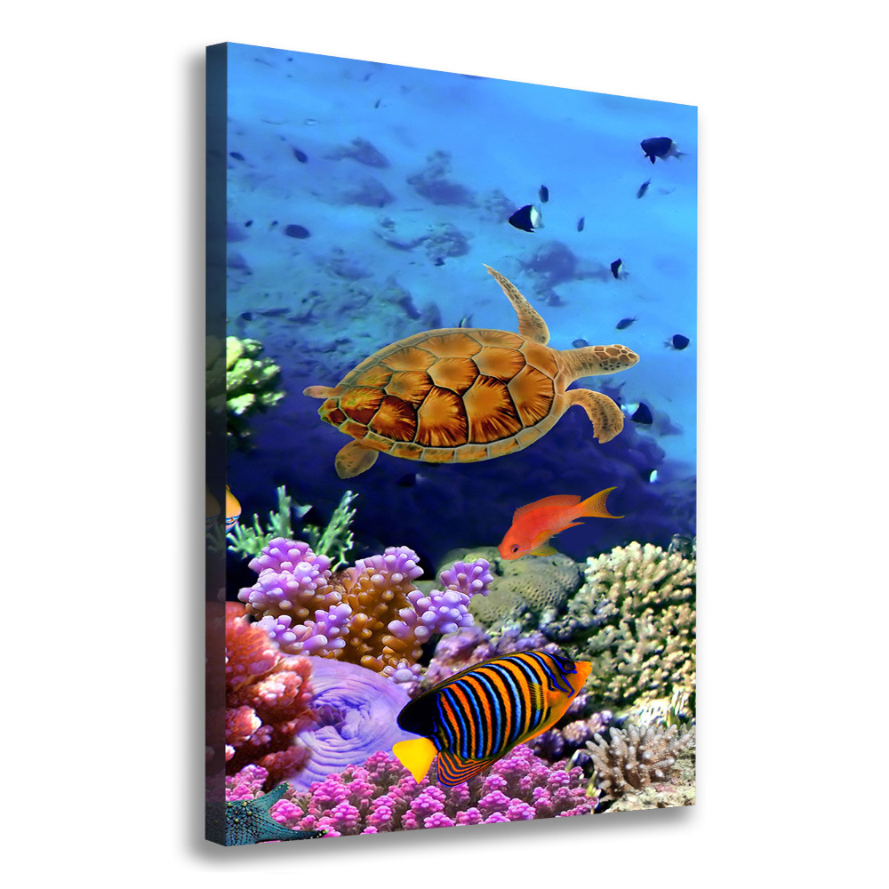 Canvas wall art Coral reef