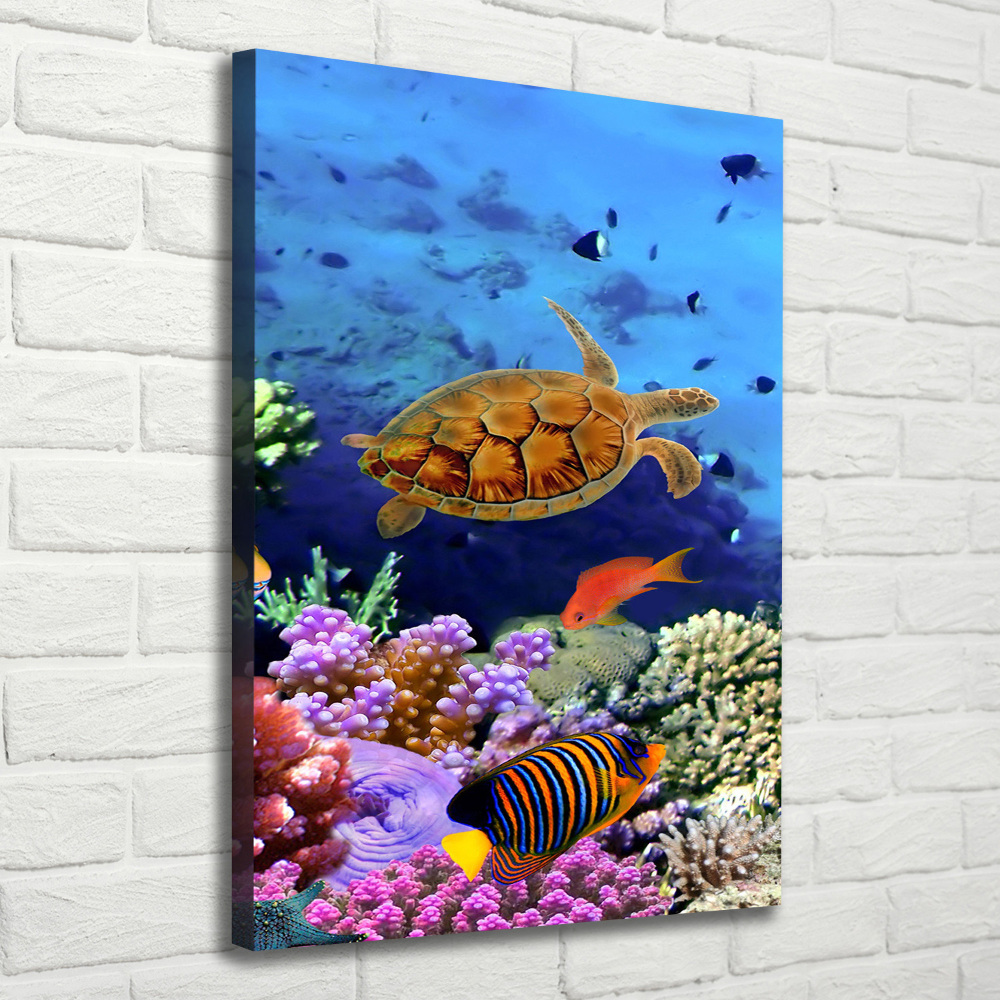 Canvas wall art Coral reef