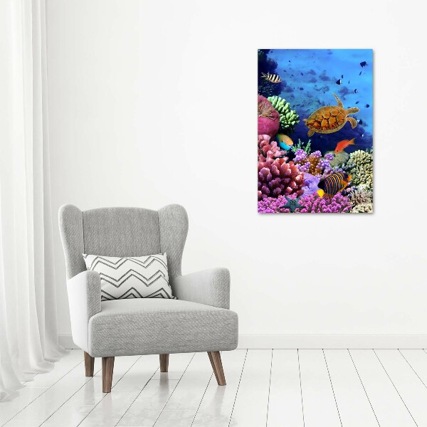 Canvas wall art Coral reef