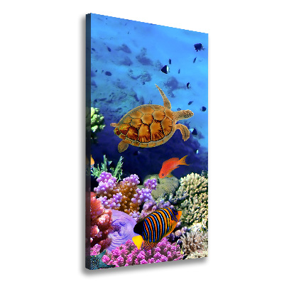 Canvas wall art Coral reef