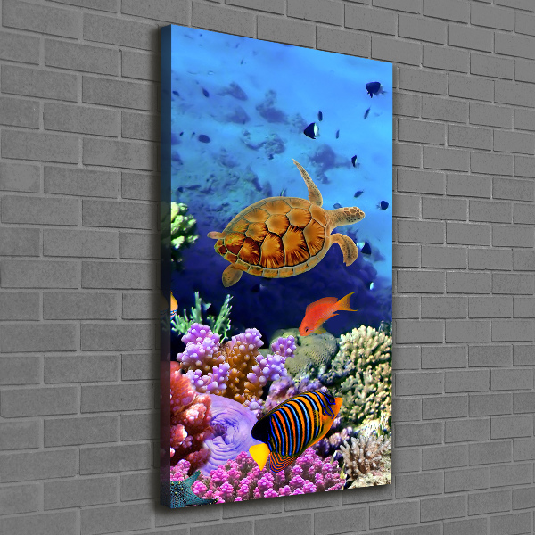 Canvas wall art Coral reef