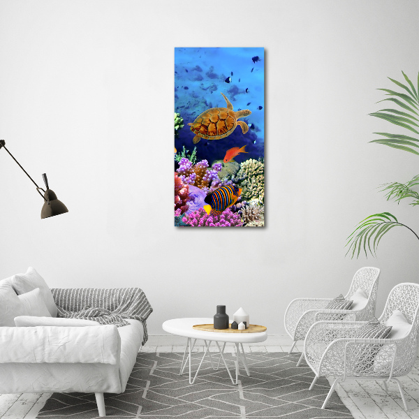 Canvas wall art Coral reef