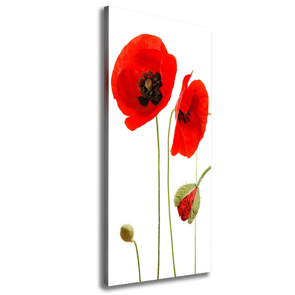 Canvas print Field poppies