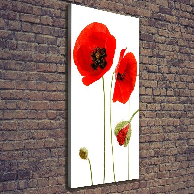 Canvas print Field poppies