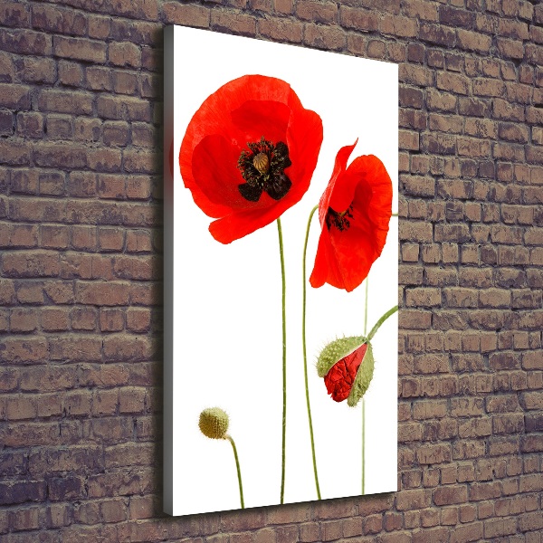 Canvas print Field poppies