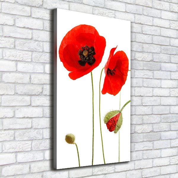 Canvas print Field poppies