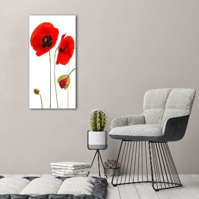 Canvas print Field poppies