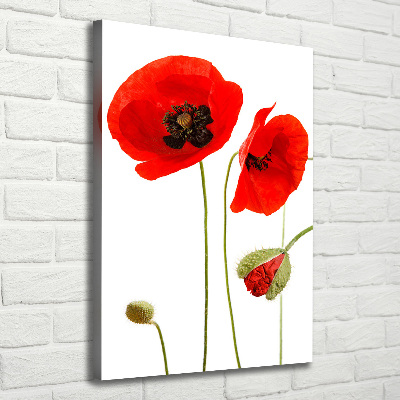 Canvas print Field poppies