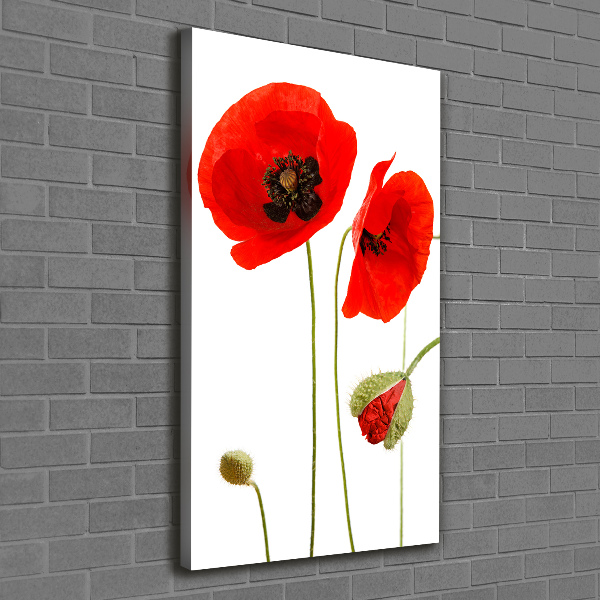 Canvas print Field poppies