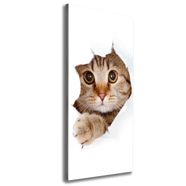 Canvas print Cat