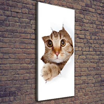 Canvas print Cat