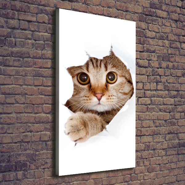 Canvas print Cat