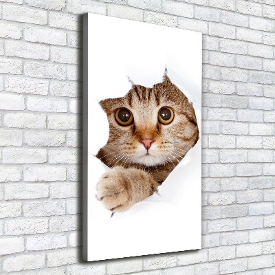 Canvas print Cat