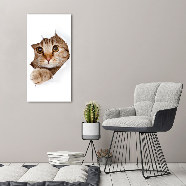 Canvas print Cat