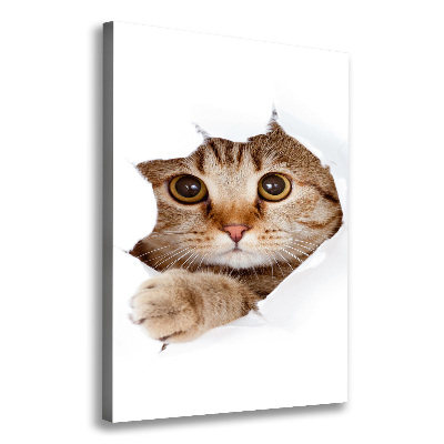 Canvas print Cat