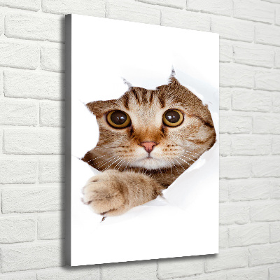 Canvas print Cat