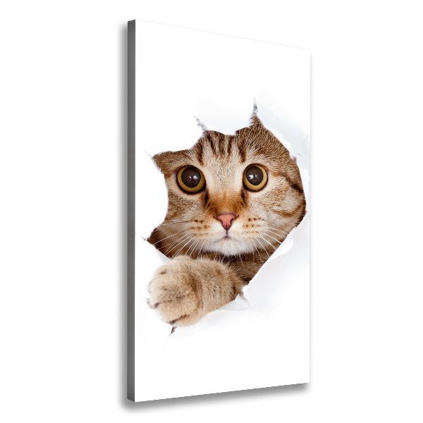 Canvas print Cat